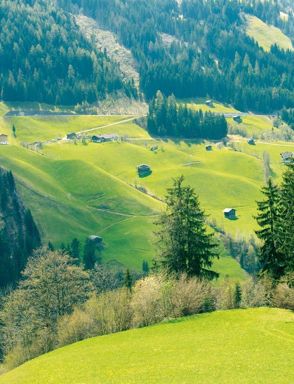 Schoesserhof Βίλα Zell am Ziller Εξωτερικό φωτογραφία